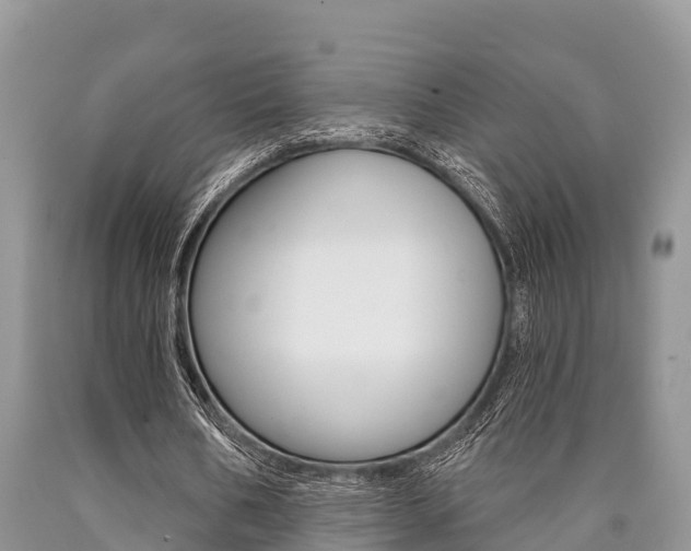X0000090770578200707201116