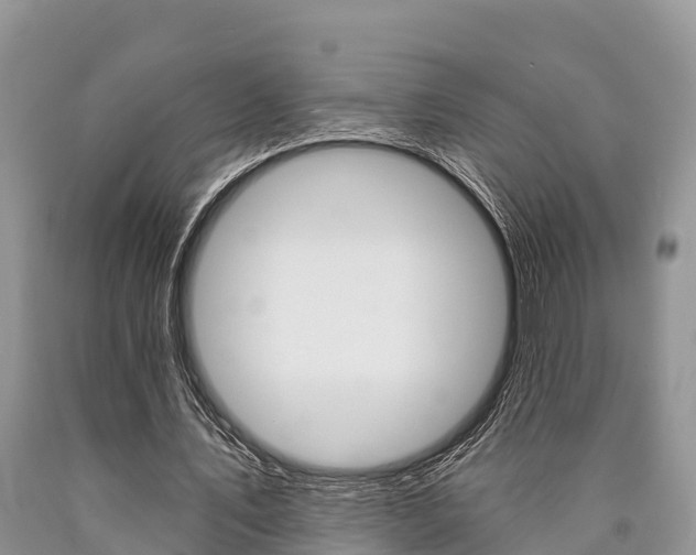 X0000090770579200707201116