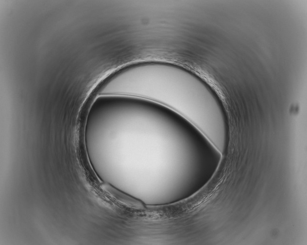 X0000090770580200707201116
