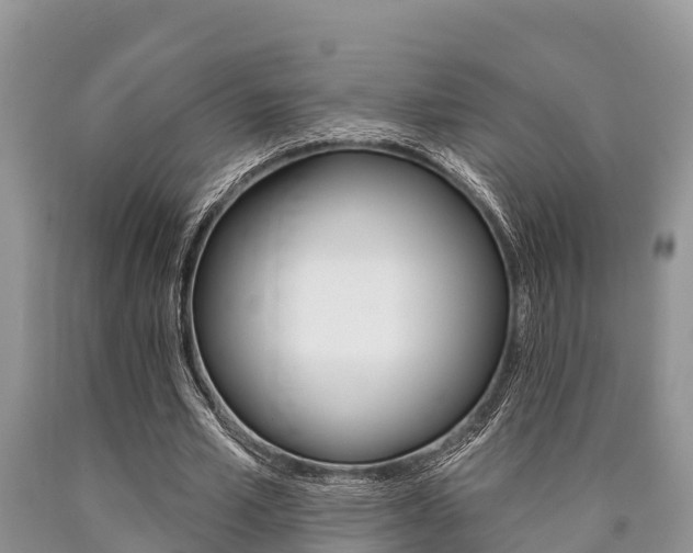 X0000090770581200707201116