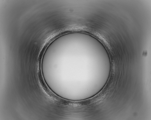 X0000090770582200707201116