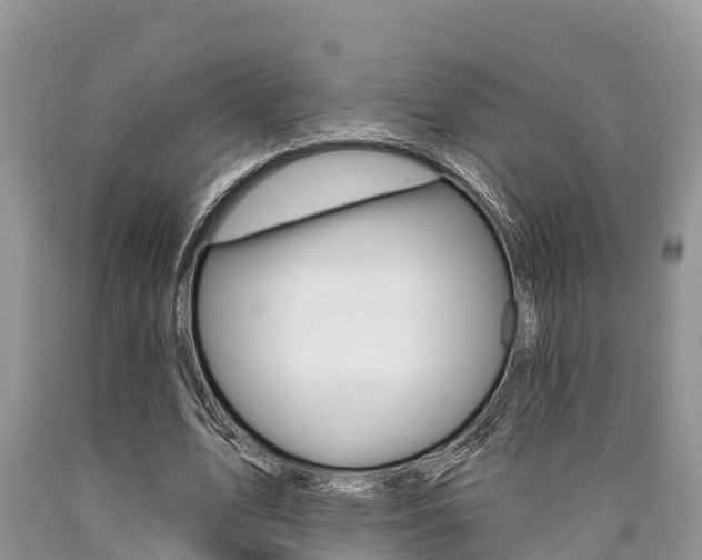 X0000090770583200707201116