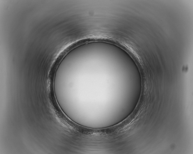 X0000090770584200707201116