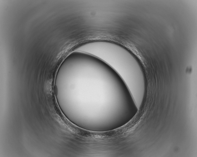 X0000090770585200707201116