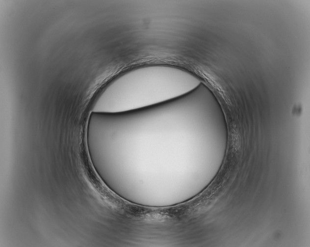 X0000090770586200707201116