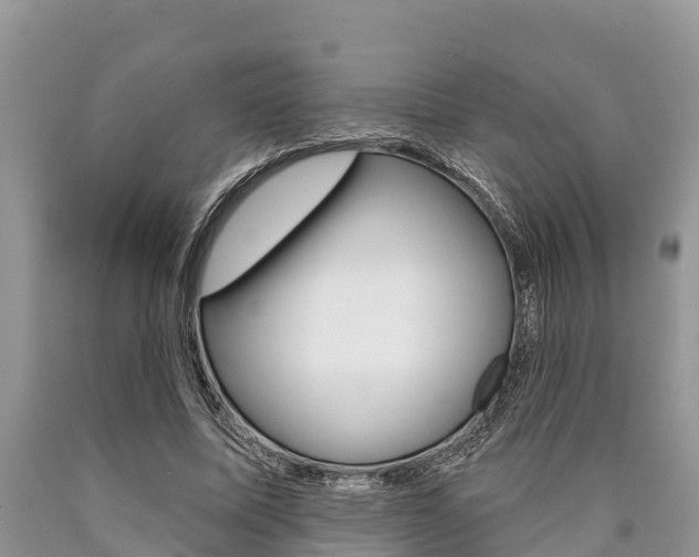 X0000090770587200707201116