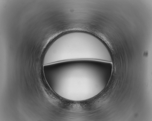 X0000090770588200707201116