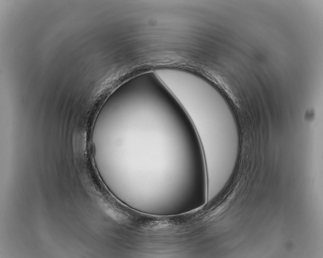 X0000090770589200707201116