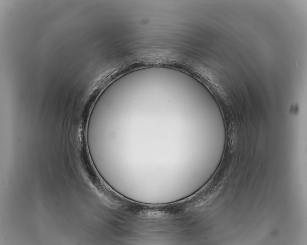 X0000090770590200707201116