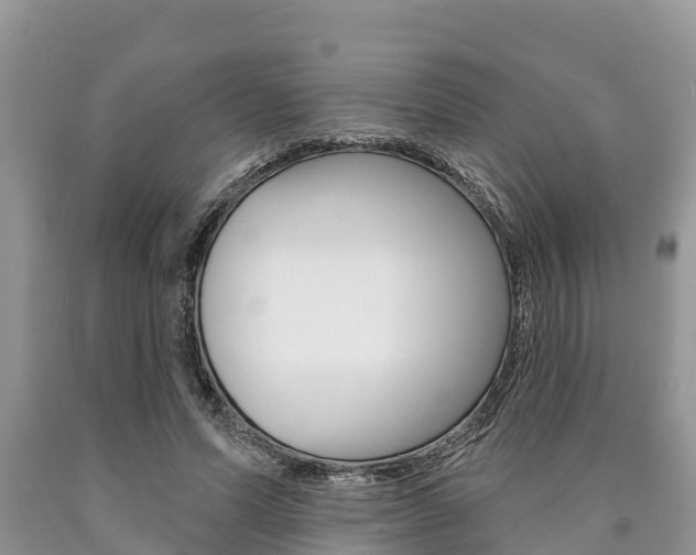 X0000090770591200707201116