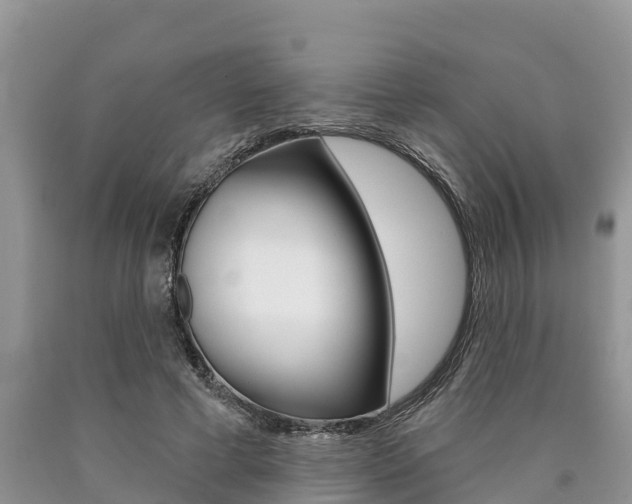 X0000090770593200707201116