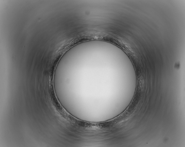 X0000090770594200707201116