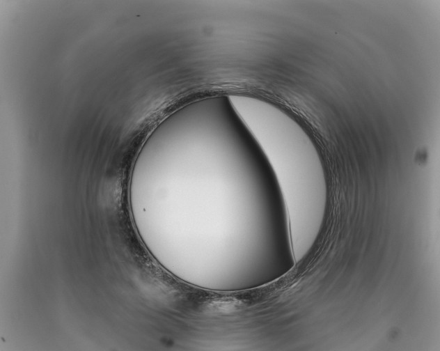 X0000090770595200707201116