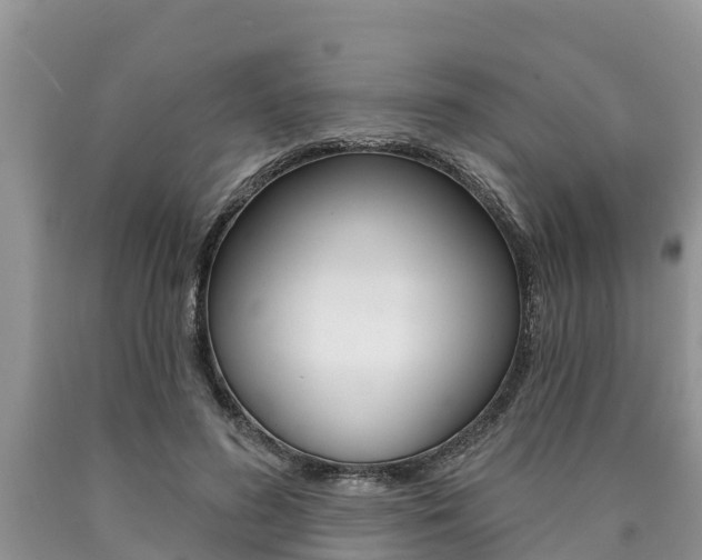 X0000090770596200707201116