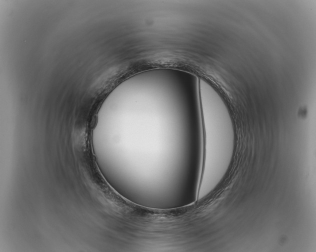 X0000090770597200707201116
