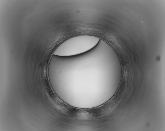 X0000090770598200707201116
