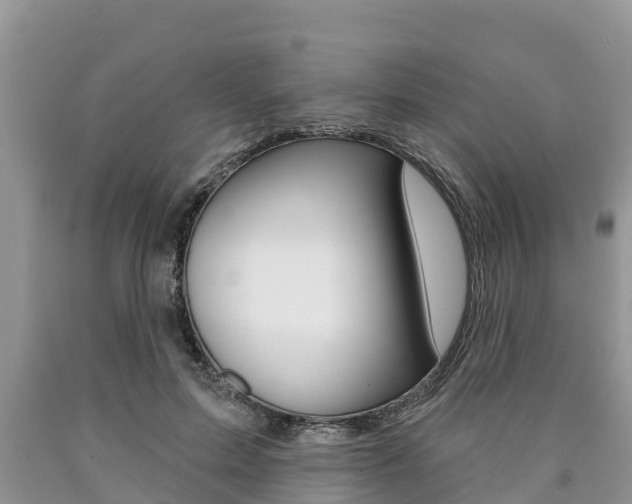X0000090770599200707201116