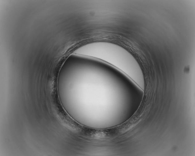 X0000090770600200707201116