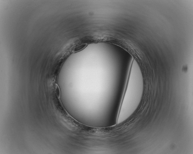 X0000090770601200707201116