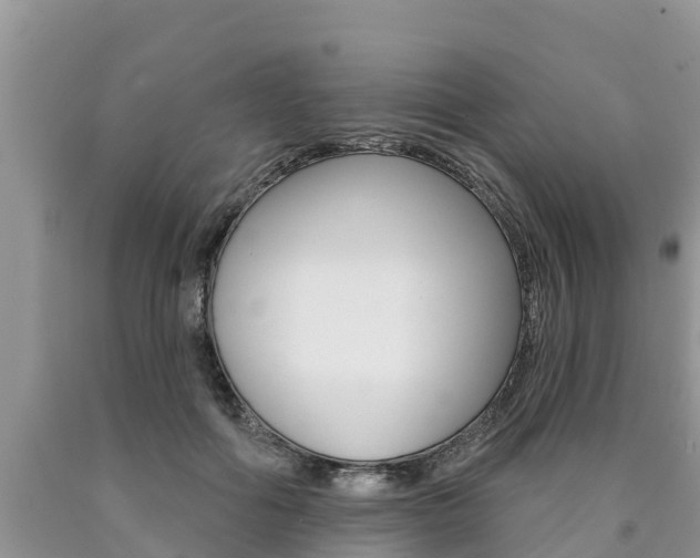 X0000090770602200707201116