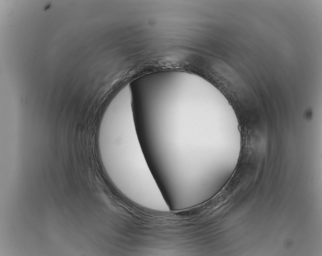 X0000090770603200707201116