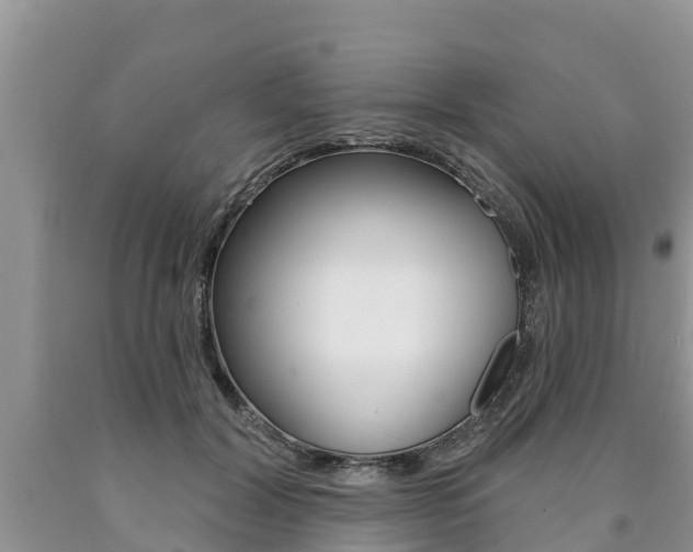 X0000090770604200707201116