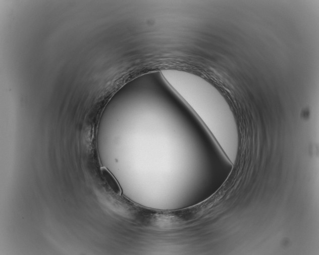 X0000090770605200707201116
