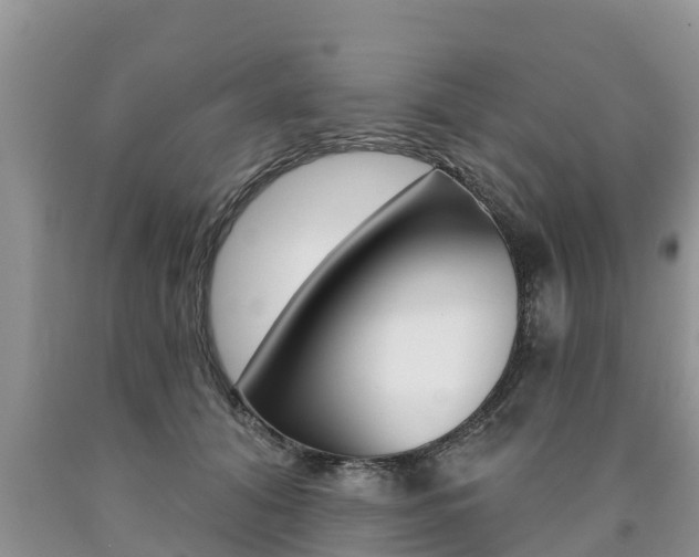 X0000090770608200707201116