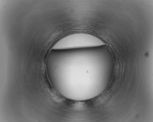 X0000090770609200707201116