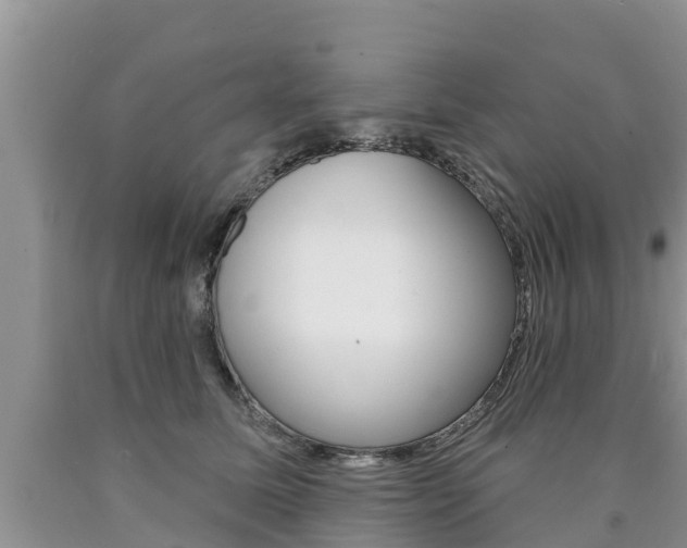 X0000090770611200707201116