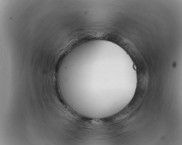 X0000090770612200707201116