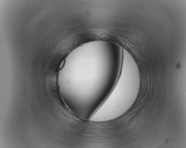 X0000090770613200707201116