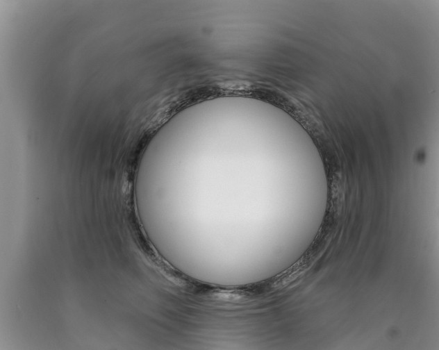 X0000090770614200707201116