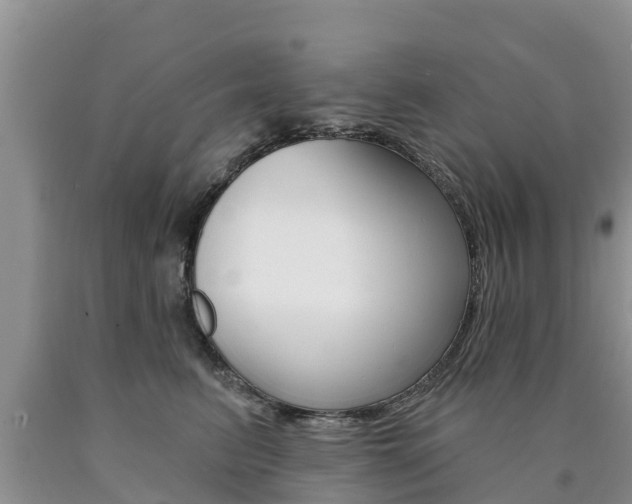 X0000090770615200707201116
