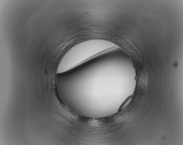 X0000090770616200707201116