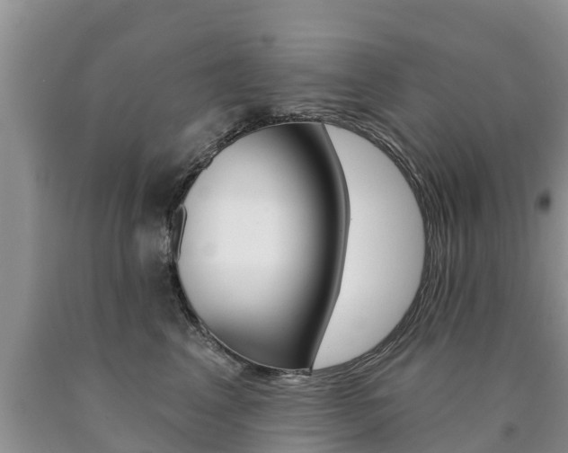 X0000090770617200707201116