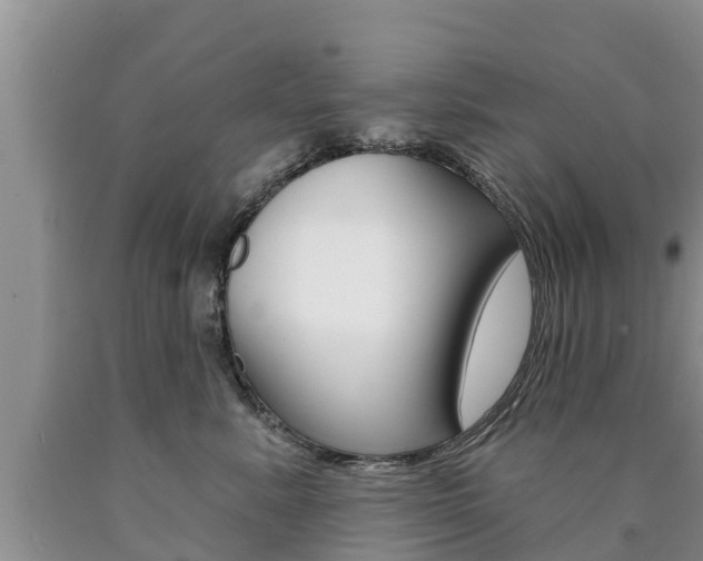 X0000090770619200707201116
