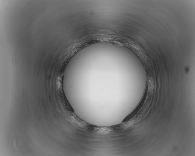 X0000090770621200707201115