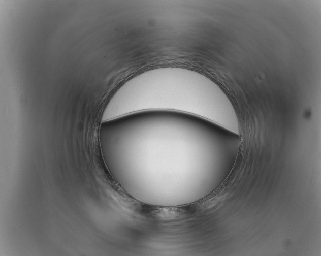 X0000090770623200707201115