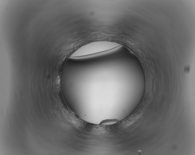 X0000090770624200707201115