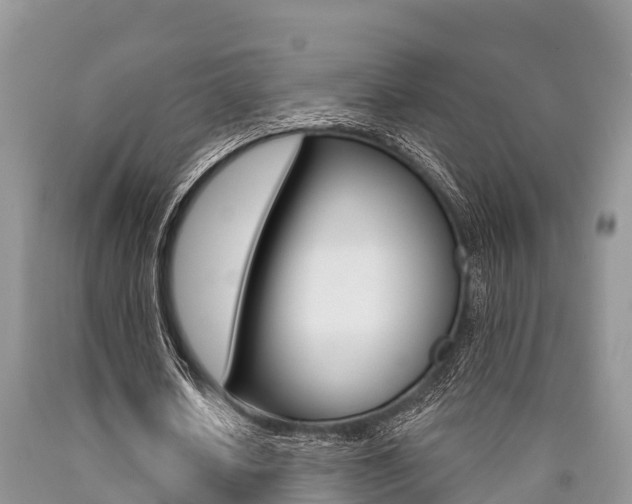 X0000090770626200707201115