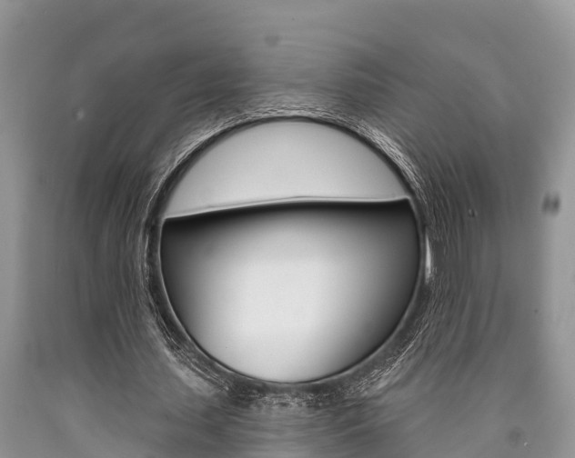 X0000090770627200707201115