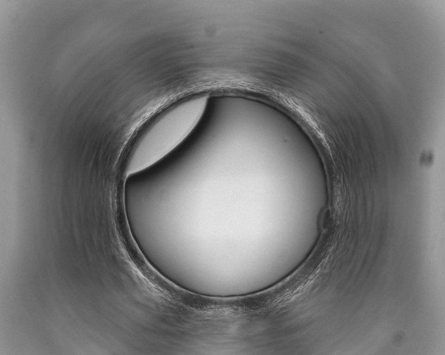 X0000090770629200707201115
