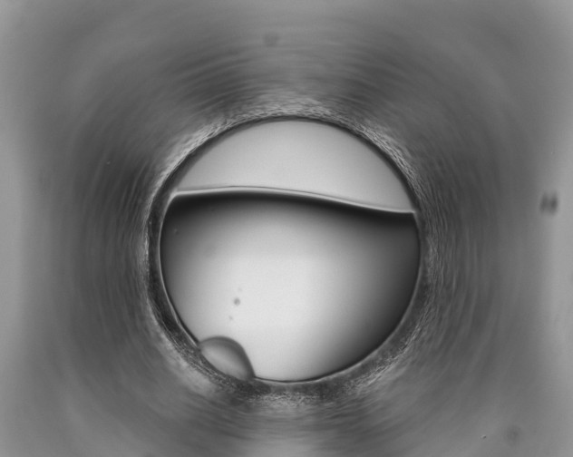 X0000090770630200707201115