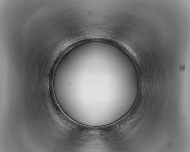 X0000090770631200707201115