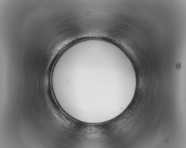 X0000090770632200707201115