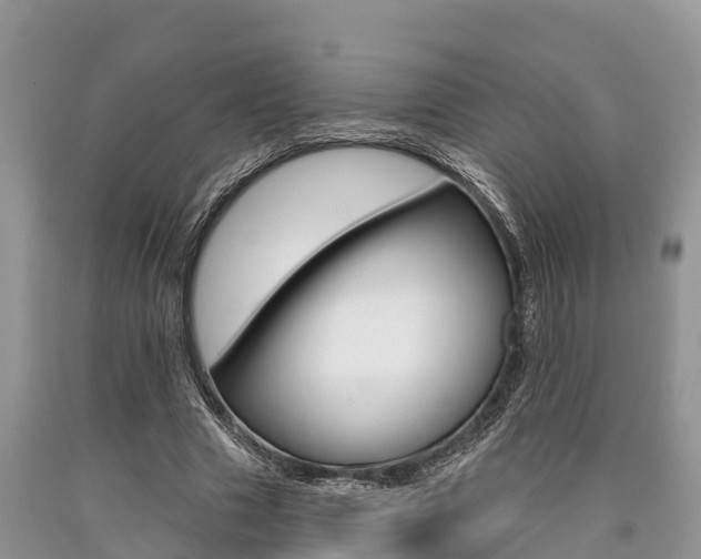 X0000090770633200707201115