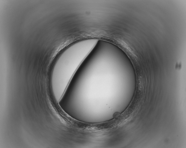 X0000090770634200707201115