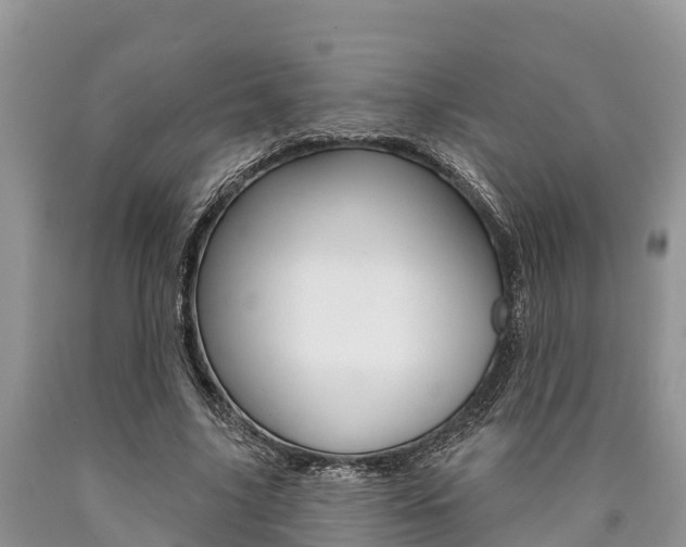 X0000090770635200707201115