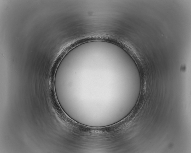 X0000090770636200707201115